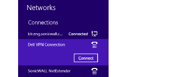 CT_Desktop_Icon_and_Network_Connections_Tab.png