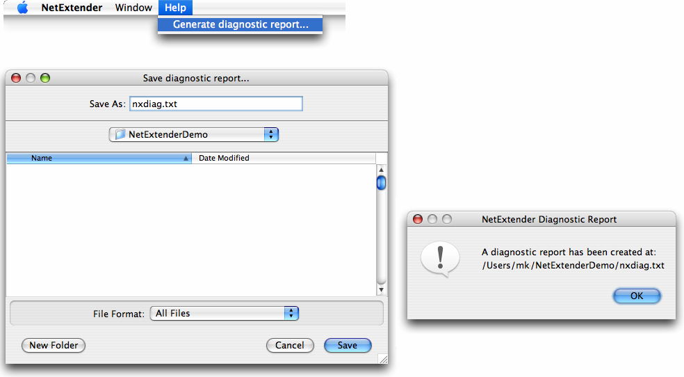 Using Netextender