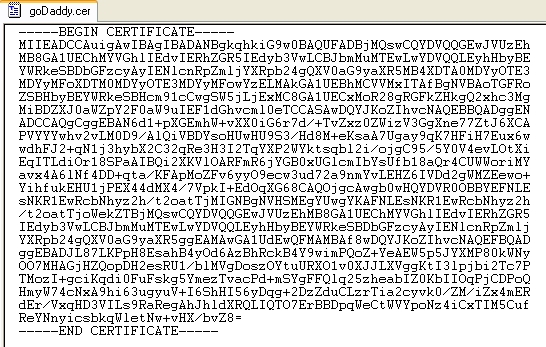 Importing a goDaddy Certificate on Windows