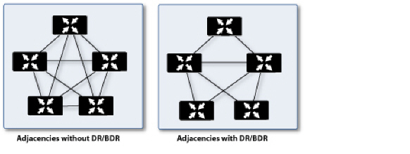 routing-adjacencies-dr.jpg