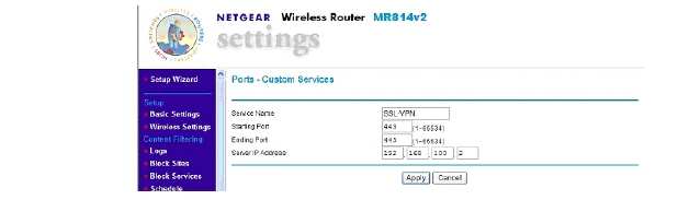 netgear_wireless_custom.jpg
