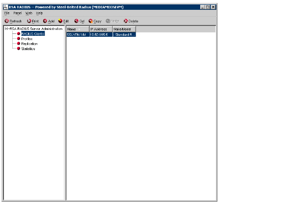 RSA_RADIUS.jpg