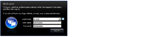 citrix_java_login.jpg