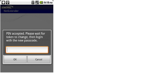 NxDroid_2-factor_user_pin2.jpg